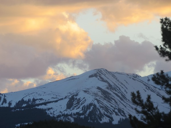 Hummingbirds to Mountains