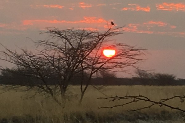 desert sunset